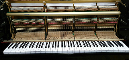 KAWAI BL-61 ����