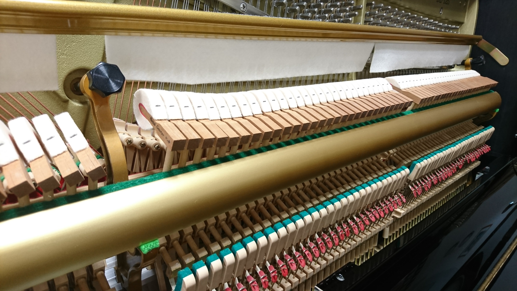 DIAPASON DL-125�@�A�N�V����