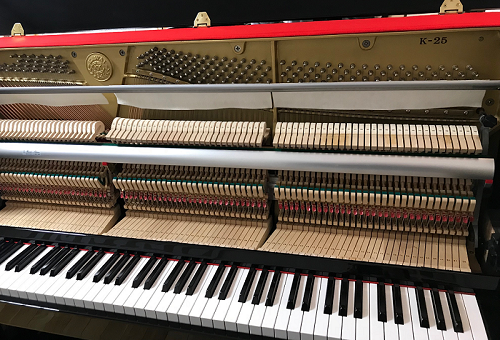 KAWAI K-25 ����