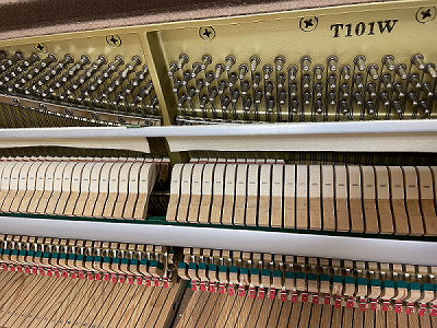 YAMAHA T101W�@�A�N�V����