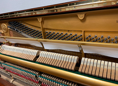 YAMAHA W106�@�A�N�V����