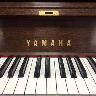 YAMAHA W102B ���S