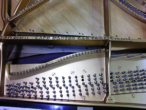 ���r���h��������1907�N��Steinway Model B�@�V���������s����ł����݁A���𒣂鏀�������܂��B