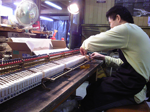 ���r���h��������1907�N��Steinway Model B�@�E�B�y���̌����B