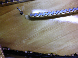 ���r���h��������1907�N��Steinway Model B�@�t���[���Ɩ{�̂��������i������j