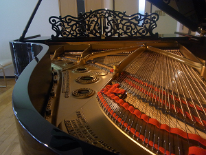 ���r���h�������1907�N��Steinway Model B�@�t���[���A���A���ʑ�