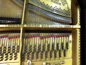 ���r���h�������1907�N��Steinway Model B�@�r�A�y�_��