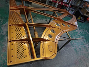 �C���ʐ^