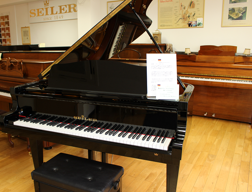 Seiler206 Professional