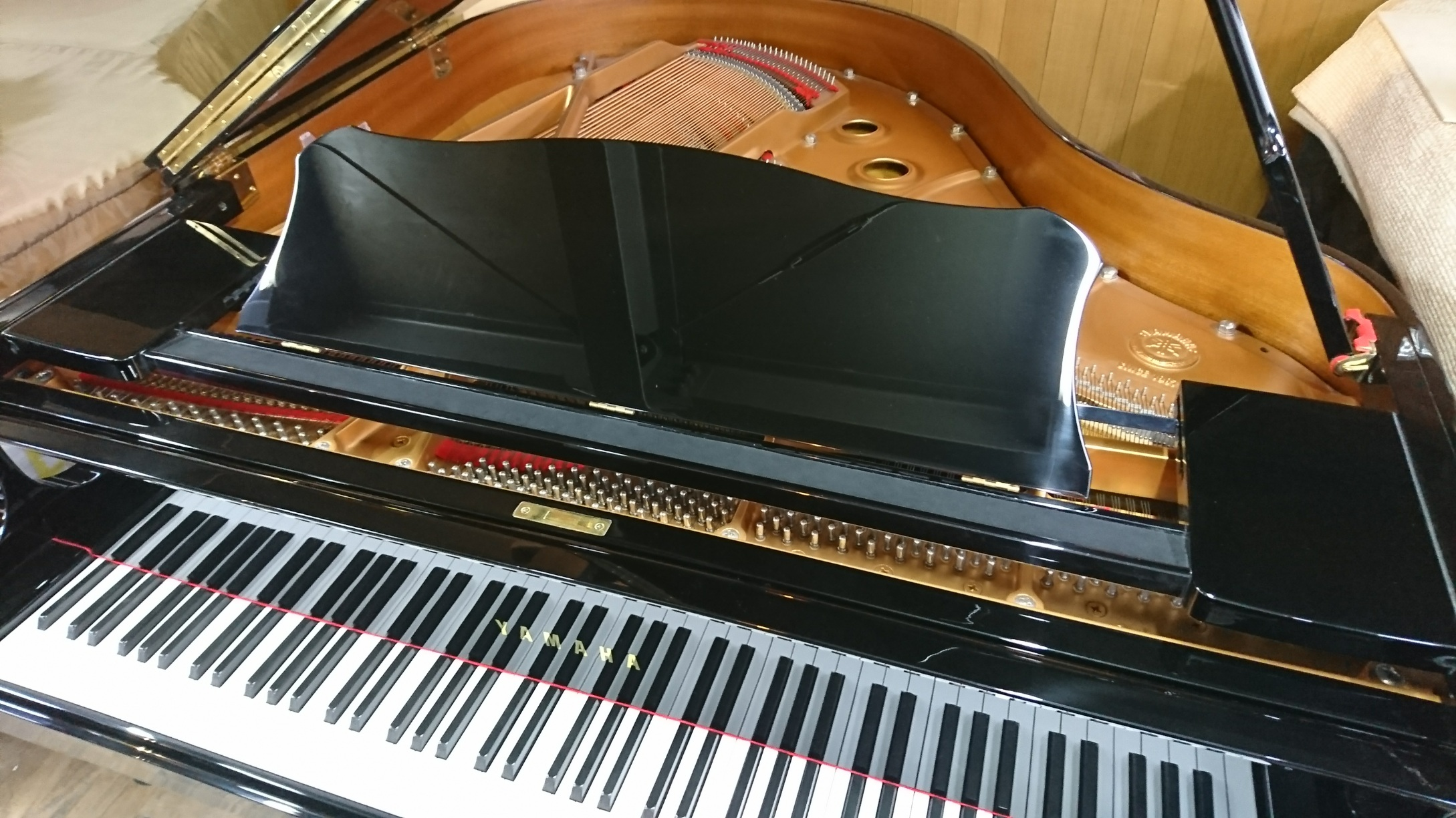 YAMAHA C1L