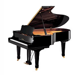 YAMAHA C5-0