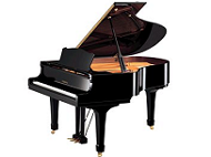 YAMAHA G2B