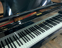YAMAHA G2E