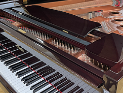 Bohemia 185-STUDIO