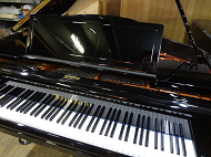 bosendorfer