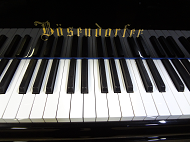 bosendorfer�@151�@���S