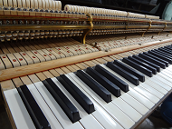 steinway A