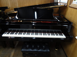 Steinway Model O