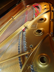 steinway C