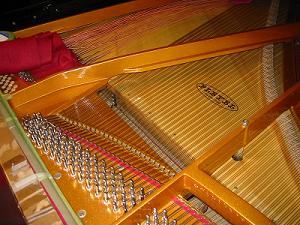 �v���C�G���̃��r���h���i